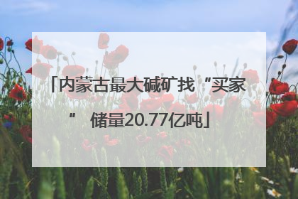 内蒙古最大碱矿找“买家” 储量20.77亿吨