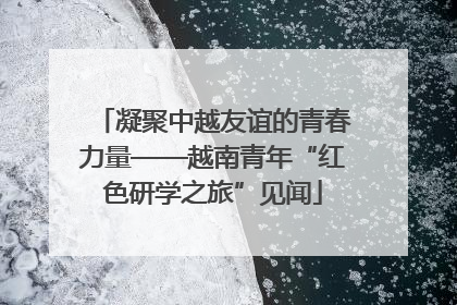 凝聚中越友谊的青春力量——越南青年“红色研学之旅”见闻