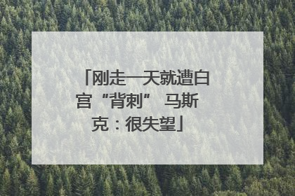刚走一天就遭白宫“背刺” 马斯克：很失望