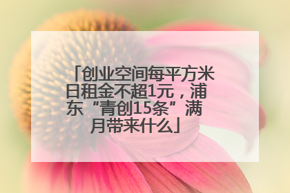 创业空间每平方米日租金不超1元，浦东“青创15条”满月带来什么