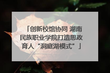 创新校馆协同 湖南民族职业学院打造思政育人“洞庭湖模式”
