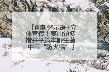 创新警示语+立体宣传！葵山镇多措并举筑牢野生菌中毒“防火墙”