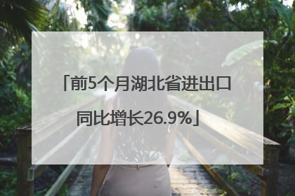 前5个月湖北省进出口同比增长26.9%