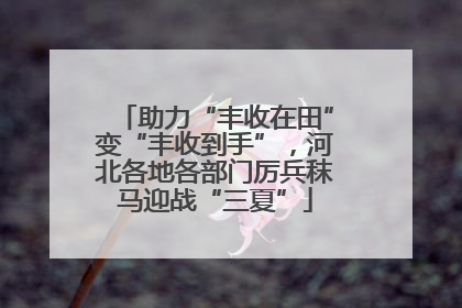 助力“丰收在田”变“丰收到手”，河北各地各部门厉兵秣马迎战“三夏”