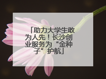 助力大学生敢为人先！长沙创业服务为“金种子”护航