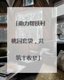 助力帮扶村桃园套袋，共筑丰收梦