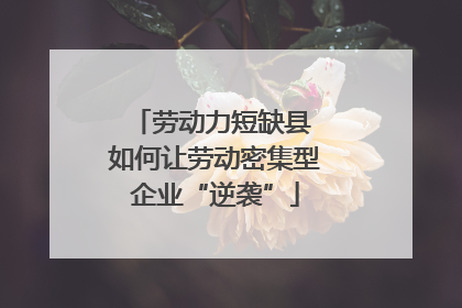 劳动力短缺县 如何让劳动密集型企业“逆袭”