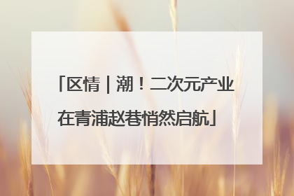 区情｜潮！二次元产业在青浦赵巷悄然启航