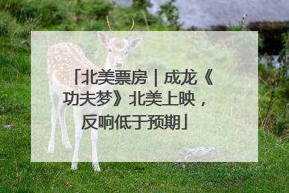 北美票房｜成龙《功夫梦》北美上映，反响低于预期
