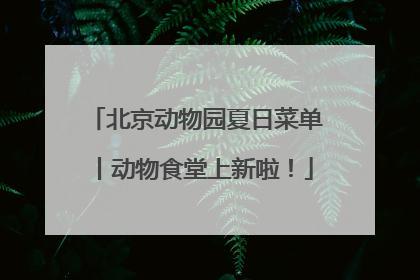 北京动物园夏日菜单丨动物食堂上新啦！
