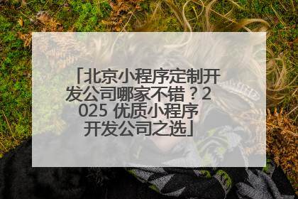 北京小程序定制开发公司哪家不错？2025 优质小程序开发公司之选