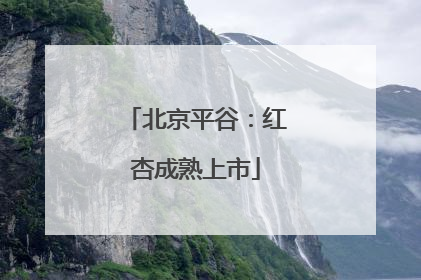 北京平谷：红杏成熟上市