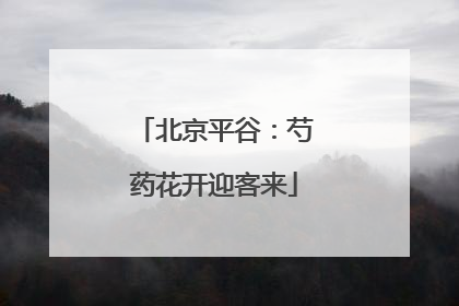北京平谷：芍药花开迎客来