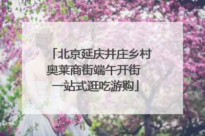 北京延庆井庄乡村奥莱商街端午开街 一站式逛吃游购