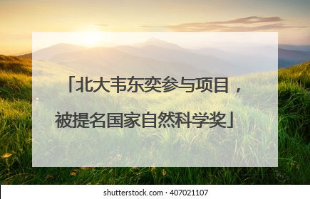 北大韦东奕参与项目，被提名国家自然科学奖