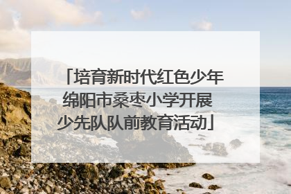 培育新时代红色少年 绵阳市桑枣小学开展少先队队前教育活动