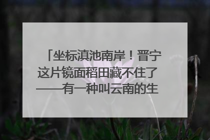 坐标滇池南岸！晋宁这片镜面稻田藏不住了——有一种叫云南的生活之365天