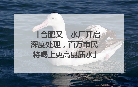 合肥又一水厂开启深度处理，百万市民将喝上更高品质水
