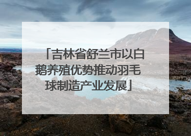 吉林省舒兰市以白鹅养殖优势推动羽毛球制造产业发展