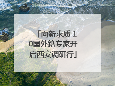 向新求质 10国外籍专家开启西安调研行