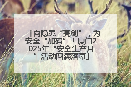 向隐患“亮剑”，为安全“加码”！厦门2025年“安全生产月”活动圆满落幕