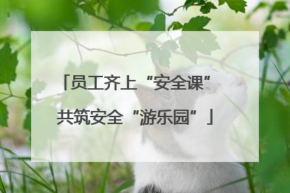 员工齐上“安全课” 共筑安全“游乐园”