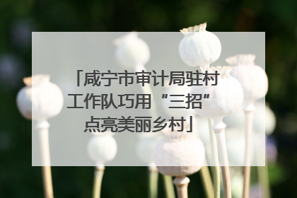 咸宁市审计局驻村工作队巧用“三招”点亮美丽乡村