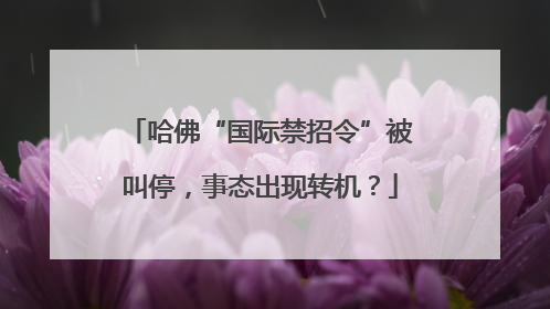 哈佛“国际禁招令”被叫停，事态出现转机？