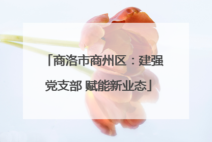 商洛市商州区：建强党支部 赋能新业态