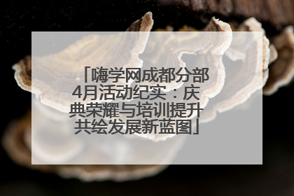 嗨学网成都分部4月活动纪实：庆典荣耀与培训提升共绘发展新蓝图