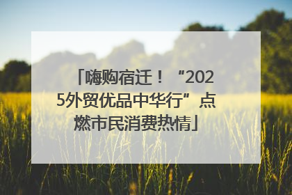 嗨购宿迁！“2025外贸优品中华行”点燃市民消费热情