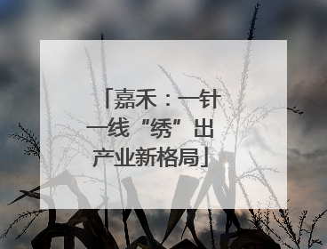 嘉禾：一针一线“绣”出产业新格局