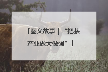 图文故事｜“把茶产业做大做强”