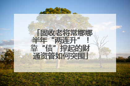 固收老将常娜娜半年“两连升”！靠“债”撑起的财通资管如何突围