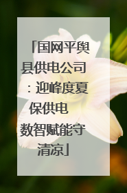 国网平舆县供电公司：迎峰度夏保供电  数智赋能守清凉