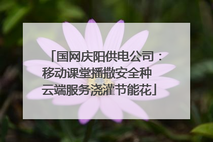 国网庆阳供电公司：移动课堂播撒安全种 云端服务浇灌节能花