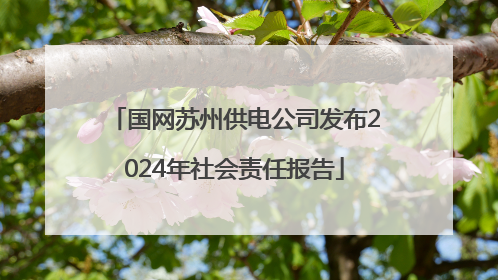 国网苏州供电公司发布2024年社会责任报告