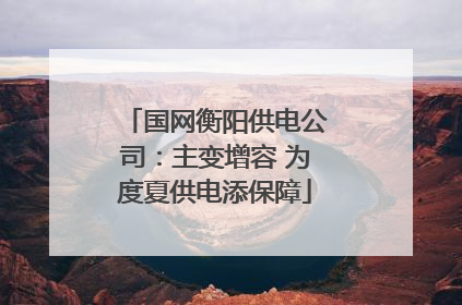国网衡阳供电公司：主变增容 为度夏供电添保障