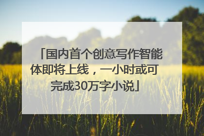国内首个创意写作智能体即将上线，一小时或可完成30万字小说
