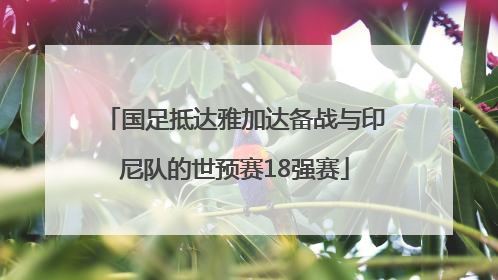 国足抵达雅加达备战与印尼队的世预赛18强赛