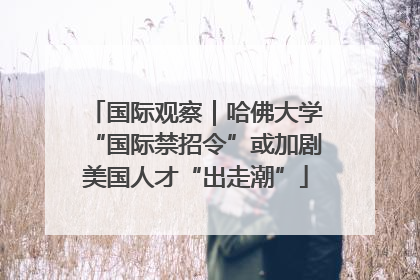国际观察｜哈佛大学“国际禁招令”或加剧美国人才“出走潮”
