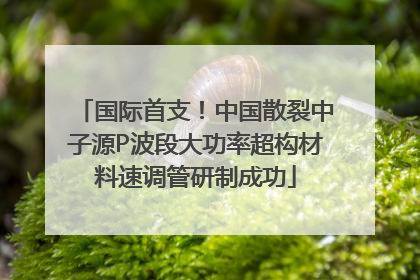 国际首支！中国散裂中子源P波段大功率超构材料速调管研制成功