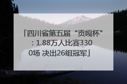 四川省第五届“贡嘎杯”：1.88万人比赛3300场 决出26组冠军