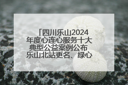 四川乐山2024年度心连心服务十大典型公益案例公布 乐山北站更名、绿心路井盖治理等上榜