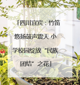 四川宜宾：竹笛悠扬鼓声震天 小学校园绽放“民族团结”之花