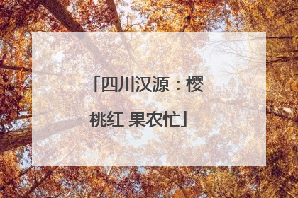 四川汉源：樱桃红 果农忙