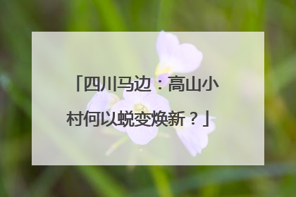 四川马边：高山小村何以蜕变焕新？