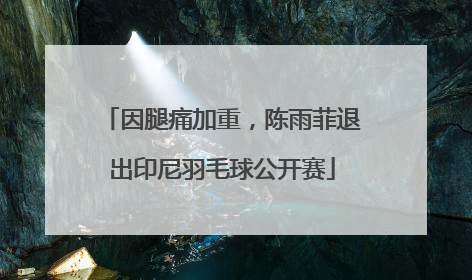因腿痛加重，陈雨菲退出印尼羽毛球公开赛