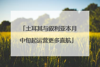 土耳其与叙利亚本月中旬起运营更多直航