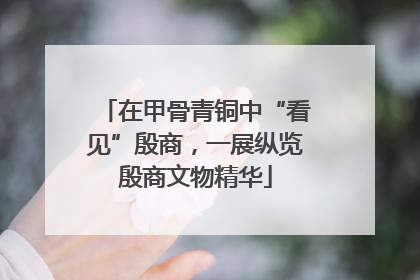 在甲骨青铜中“看见”殷商，一展纵览殷商文物精华